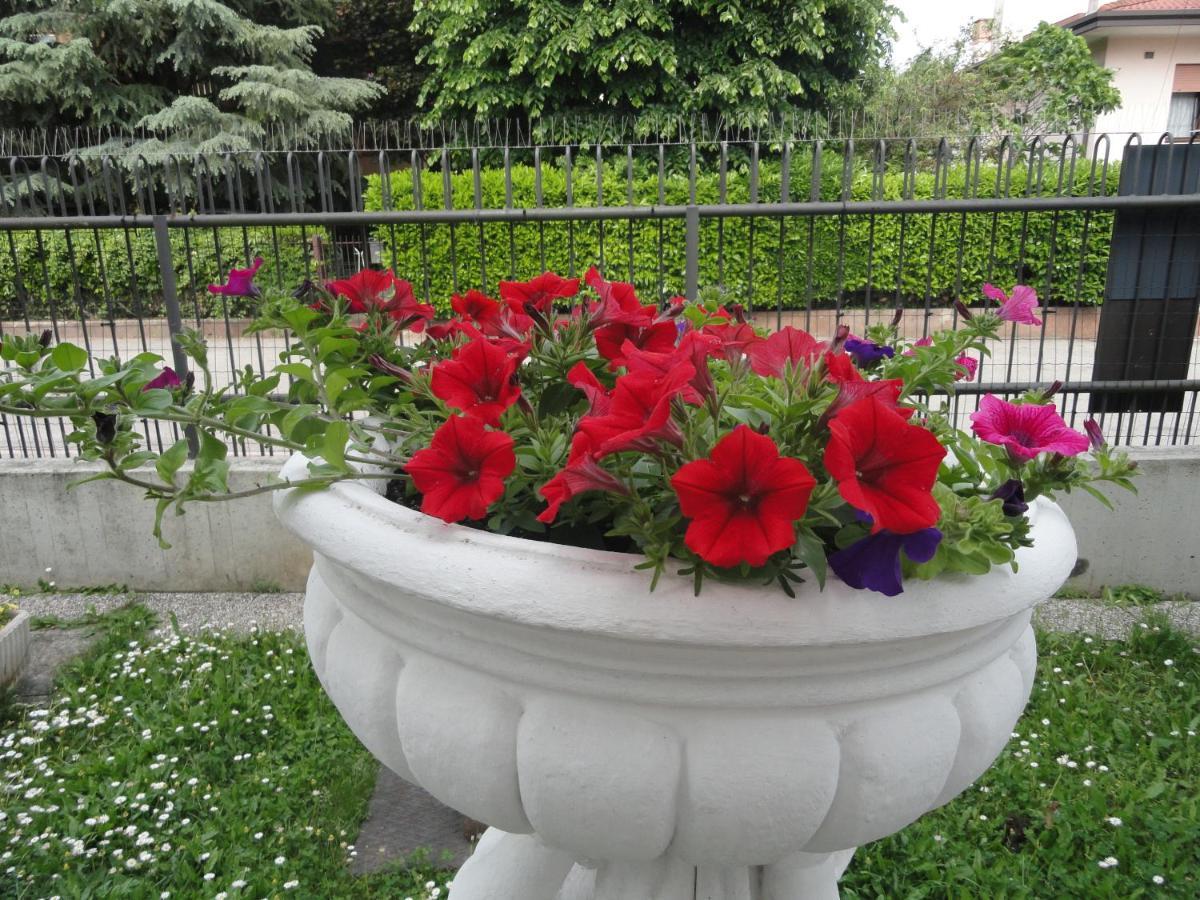 House Dolcevita 30 Min Per Venezia Guest house *